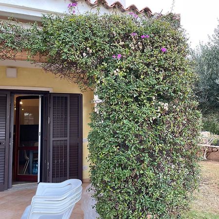 פורטו סן פאולו Tavolara Paradise Home מראה חיצוני תמונה