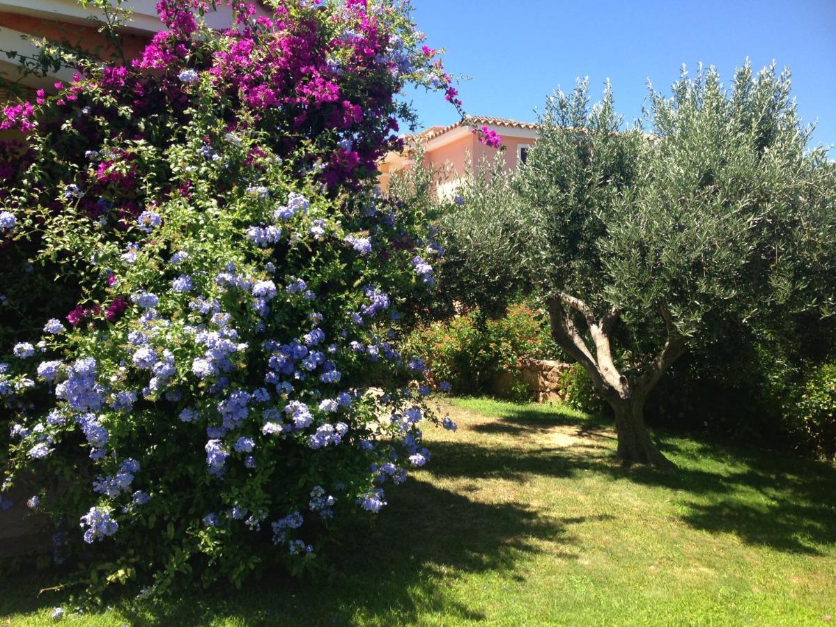 פורטו סן פאולו Tavolara Paradise Home מראה חיצוני תמונה