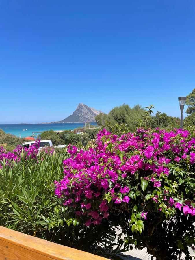 פורטו סן פאולו Tavolara Paradise Home מראה חיצוני תמונה