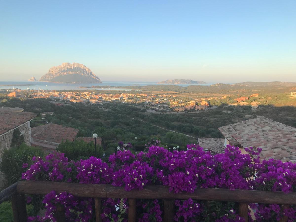 פורטו סן פאולו Tavolara Paradise Home מראה חיצוני תמונה