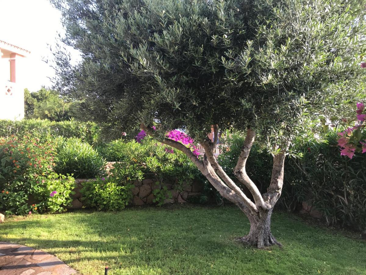 פורטו סן פאולו Tavolara Paradise Home מראה חיצוני תמונה